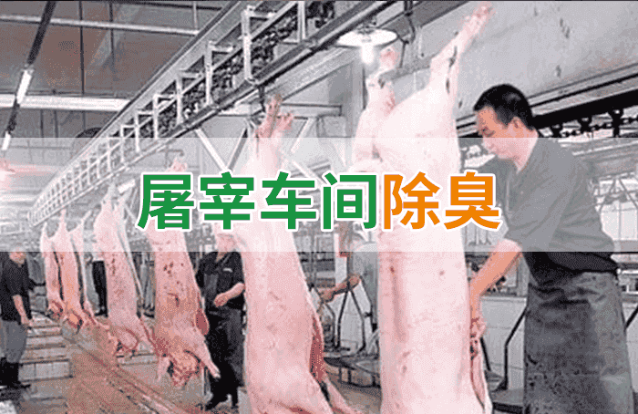 潔匠凈化·的凈工業(yè)除臭劑_屠宰場(chǎng)臭氣影響周邊環(huán)境？解決辦法在這里-1