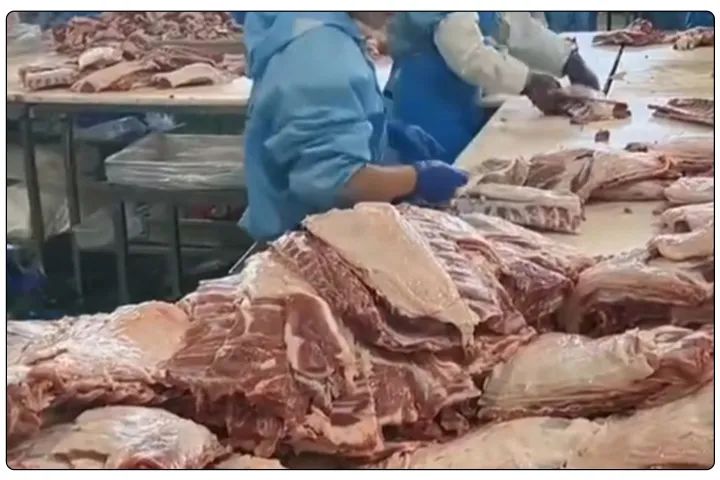 屠宰工廠(chǎng)惡臭影響周邊，使用除臭劑有什么注意要點(diǎn)？.jpg