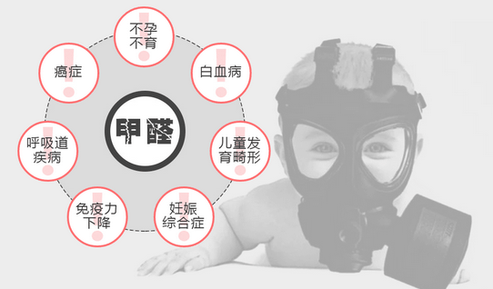 常見(jiàn)的“除甲醛”方法有哪些呢？有什么優(yōu)缺點(diǎn)？