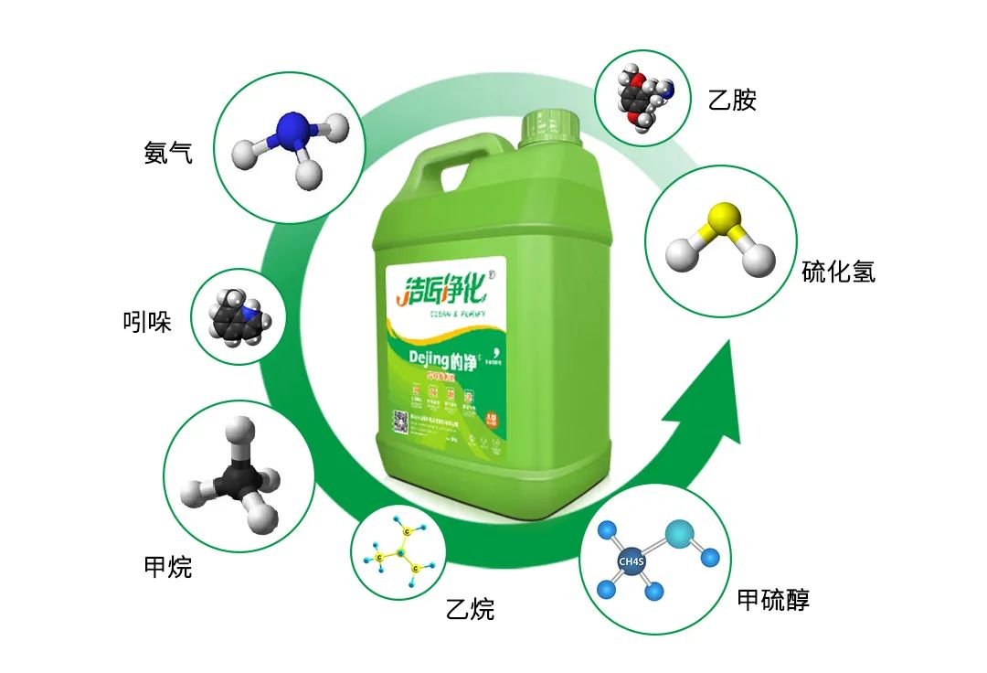 Dejing的凈養殖場(chǎng)除臭劑如何迅速清理養殖場(chǎng)臭味？.jpg