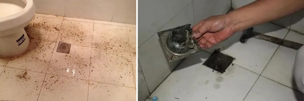 家里衛生間老有異味，潔匠凈化教您如何解決難聞的臭味.jpg