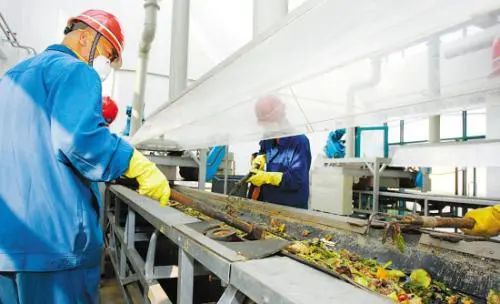 餐廚垃圾的不當處理已成為致霾致癌的一個(gè)重要成因.jpg