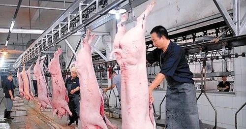 屠宰場(chǎng)臭氣影響周邊環(huán)境？解決辦法在這里.jpg